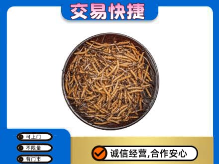 商丘市回收散虫草